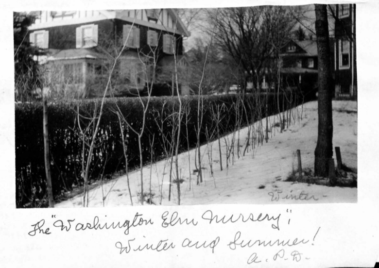 Patriots of Revolution