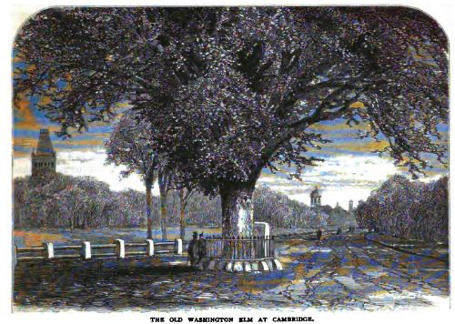 Patriots of Revolution