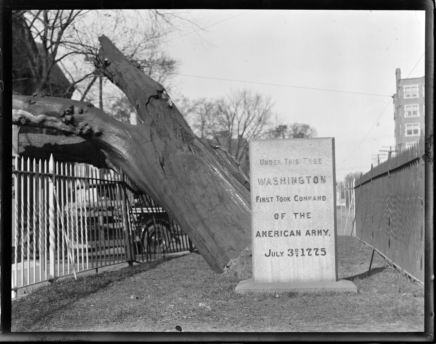 Patriots of Revolution